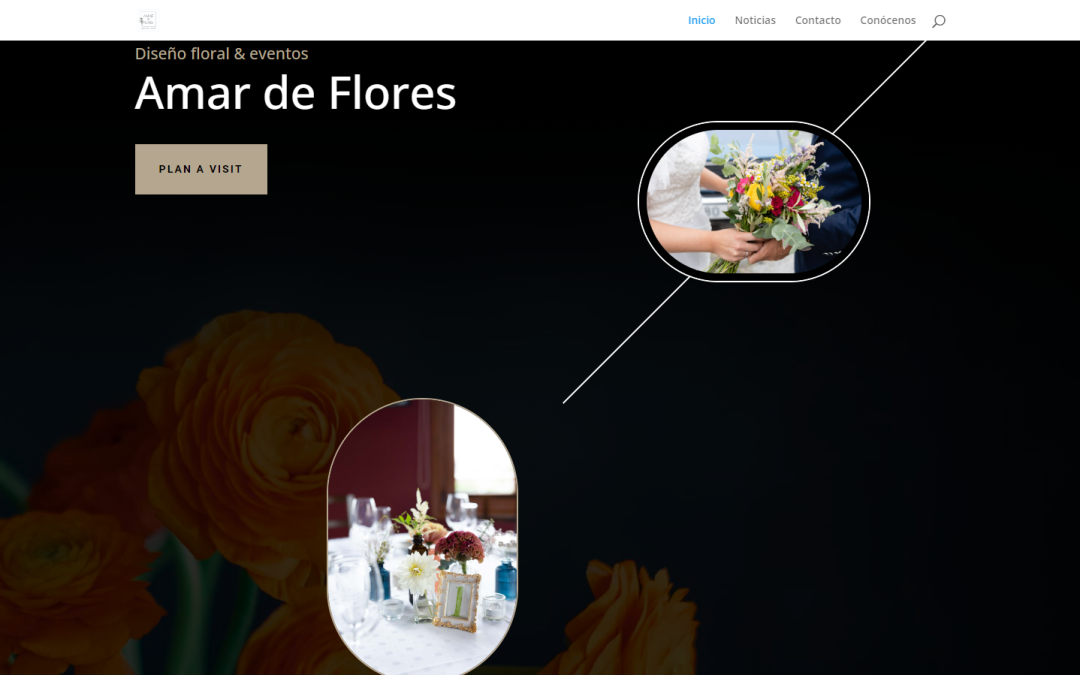 ¡Estrenamos web!