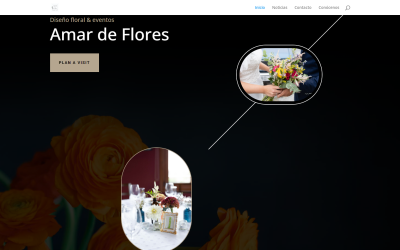 ¡Estrenamos web!
